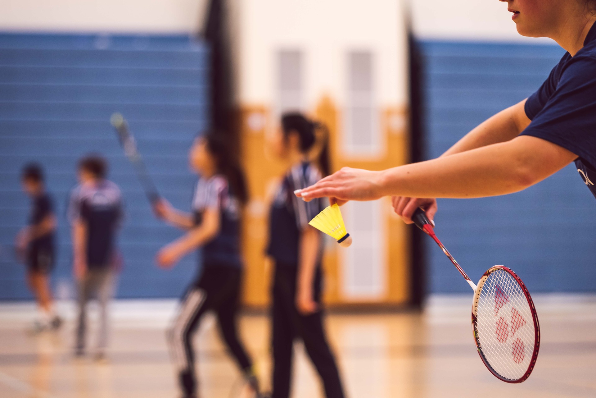 Noida Badminton Academy